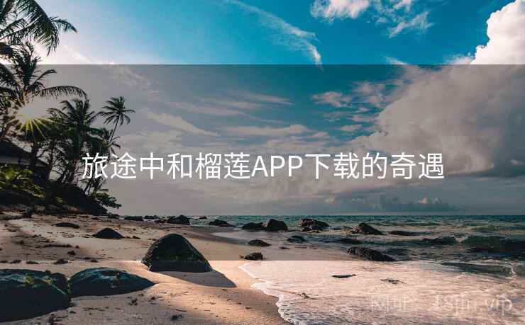旅途中和榴莲APP下载的奇遇