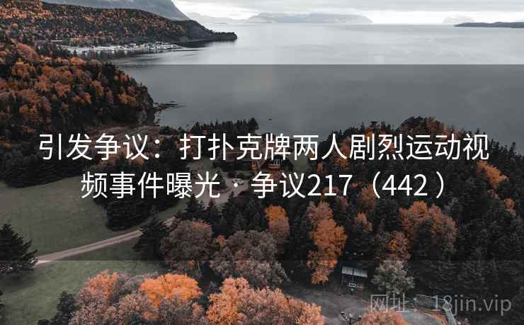 引发争议:打扑克牌两人剧烈运动视频事件曝光 · 争议217(442 )